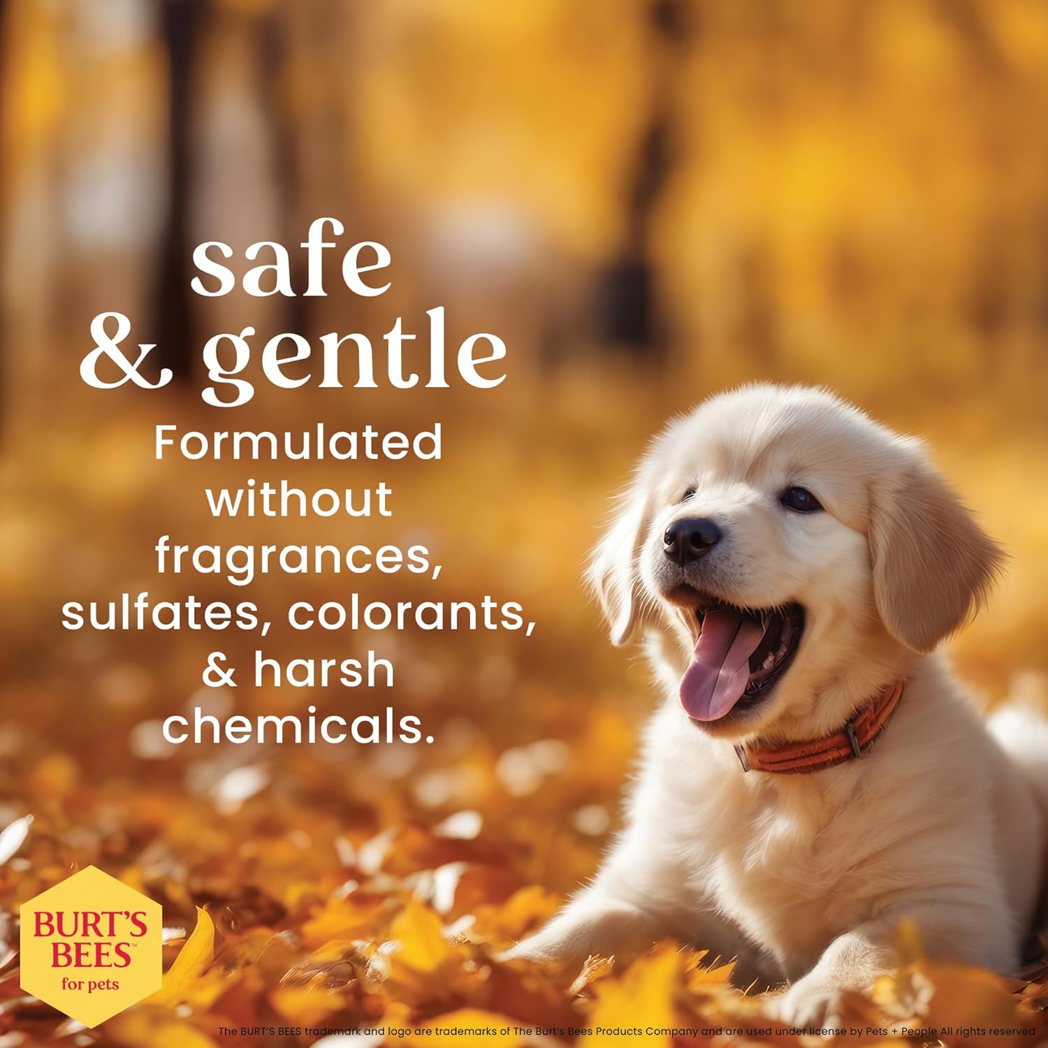Burts Bees Tearless Puppy Shampoo & Conditioner with Buttermilk, 16 Fl Oz