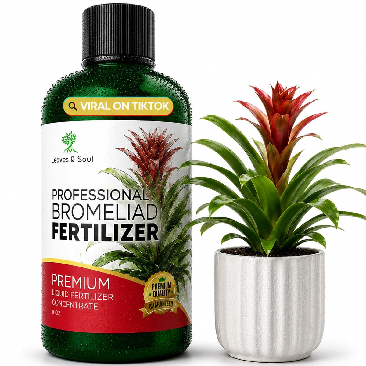 Professional Bromeliad Fertilizer Liquid 3-1-2 Concentrate 8 oz, Premium Bromeliad Plant Food for Indoor and Outdoor Plants, Liquid Bromeliad Plant Fertilizer Made in USA