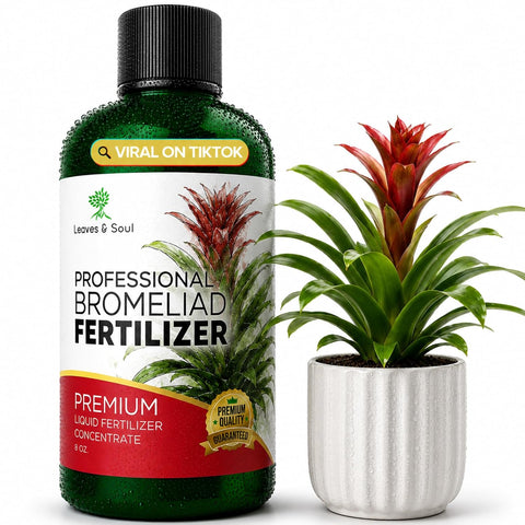 Professional Bromeliad Fertilizer Liquid 3-1-2 Concentrate 8 oz, Premium Bromeliad Plant Food for Indoor and Outdoor Plants, Liquid Bromeliad Plant Fertilizer Made in USA