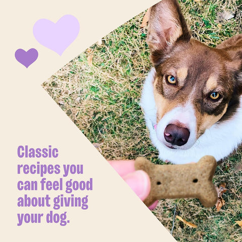 Wellness Old Mother Hubbard Classic Grain Free Pick of the Patch Dog Biscuits, Natural Training Treats, Pumpkin and Carrot Flavor, Mini Size. 16 oz Bag