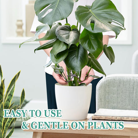 8PCS Plant Stem Support, Monstera Plant Support Clips for Indoor Plants