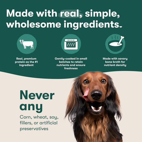 Jinx Grain Free Dry Dog Food - Real Lamb, Sweet Potato & Carrot, 4lb