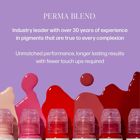 Perma Blend Cool Eyebrow Tattoo Ink Mini Set
