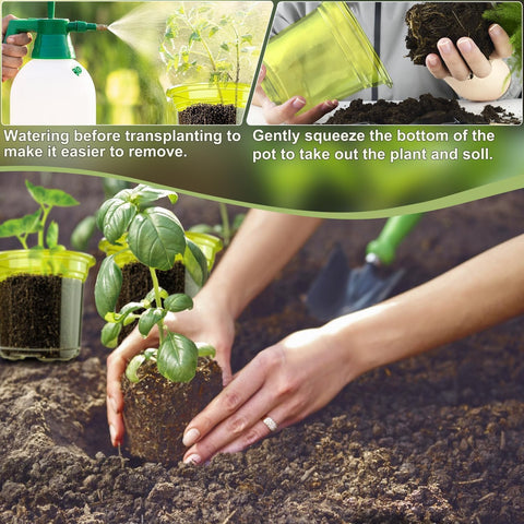 SupKing 4 Inch Clear Plant Nursery Pots 8 Packs Durable Plastic Seed Starters Small Orchid Flower Pots with Drainage Holes for Transplanting Succulents Cuttings Seedlings Bonus 15 Plant Labels