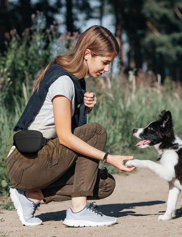 heouvo 1.67 Cup Magnetic Dog Treat Pouch with Training Clicker (Black)