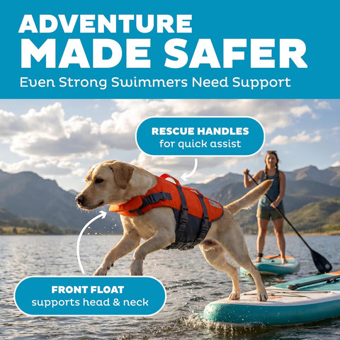 Outward Hound Granby Splash Dog Life Jacket, Life Vest, Orange, Large