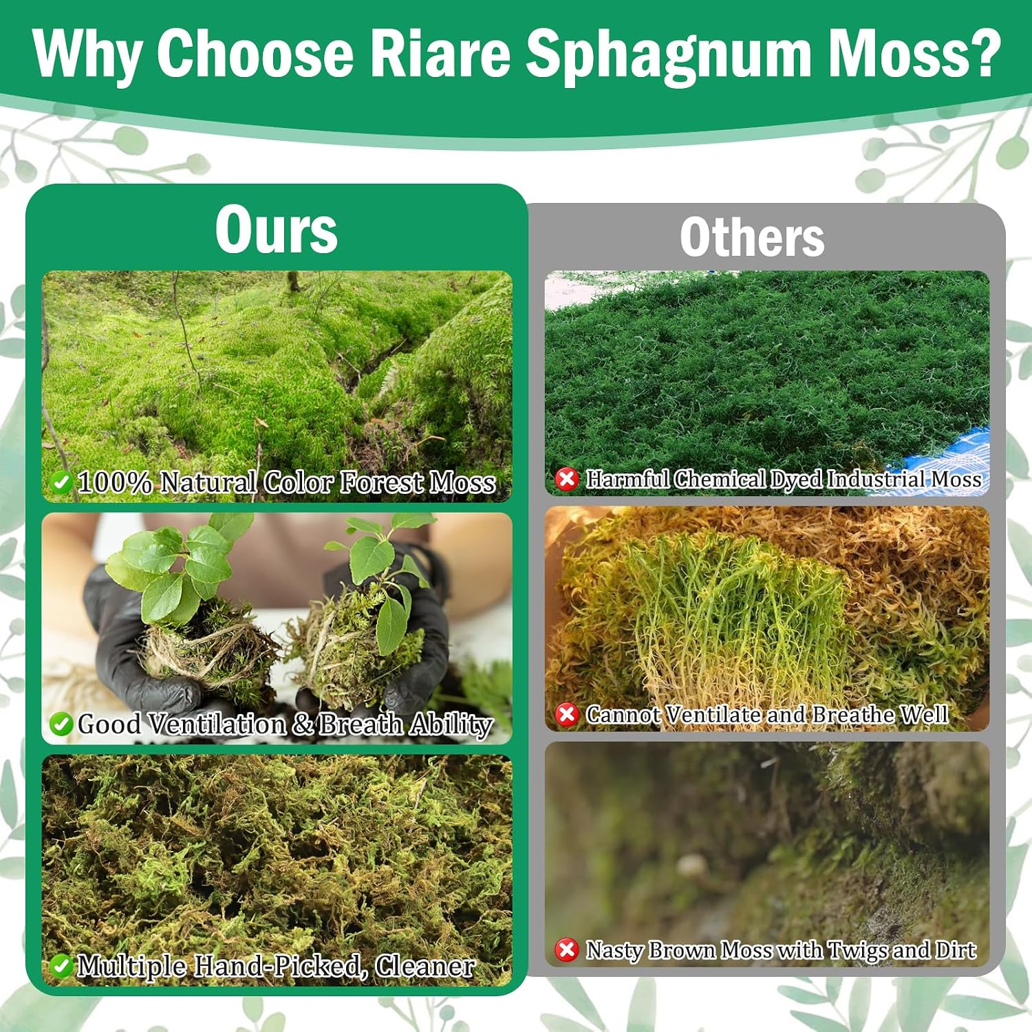 Riare 2.9LB Premium Sphagnum Moss for Plants- 65QT Natural Dried Plant Moss