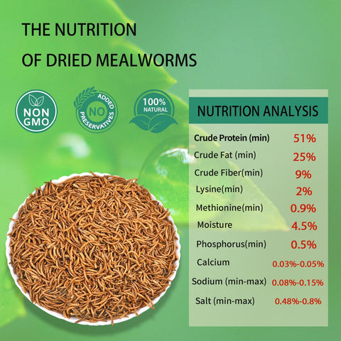 Dried Mealworms 5LB Pure Natural Chicken Treats for Laying Hens Wild Birds