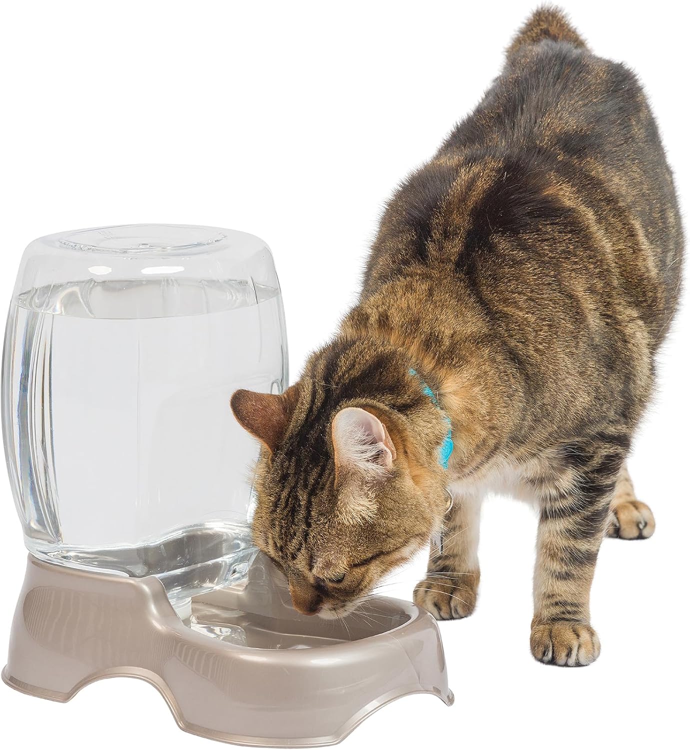 Petmate Pet Cafe Cat and Dog Water Dispenser - Water Bowl for Cats and Dogs, USA Made, Pearl Tan, 0.75 GAL (Pack of 6)