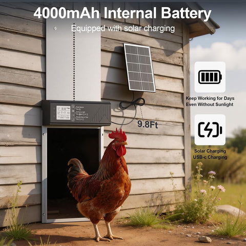 Large Automatic Chicken Coop Door Solar Powered with Timer & Light Sensor