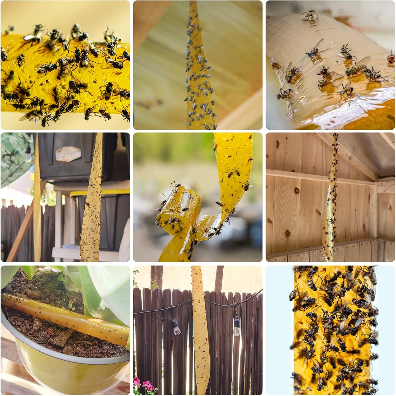 24 Pcs Fly Trap Strips Indoor Outdoor, Fruit Fly Paper Tape Sticky with Pin
