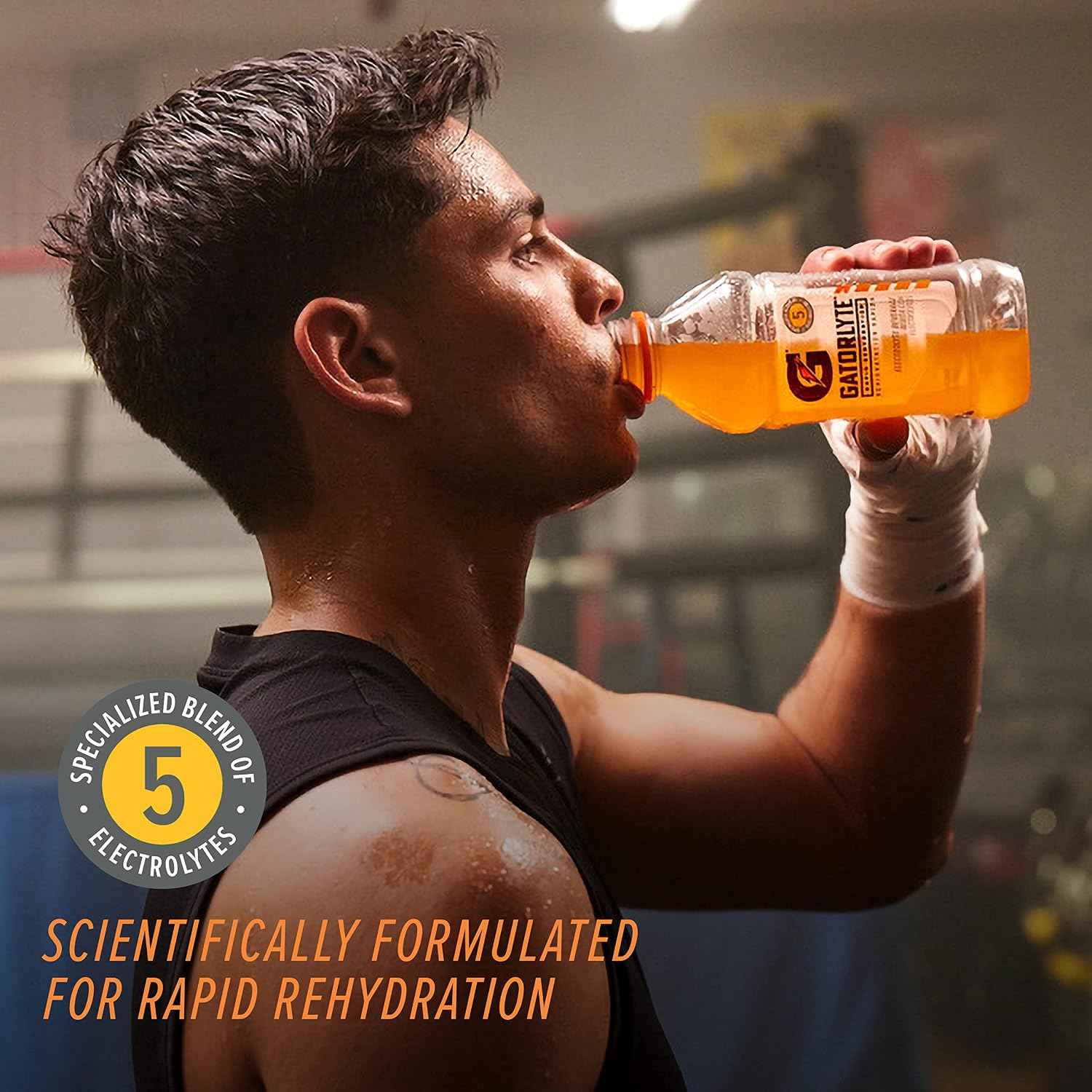 Gatorlyte Rapid Rehydration Electrolyte Drink, 3 Flavor Variety Pack, 20 fl oz Bottles (12 Pack), Specialized Blend of 5 Electrolytes, Lower Sugar, No Artificial Sweeteners, No Artificial Flavors, Gatorade, Hydration