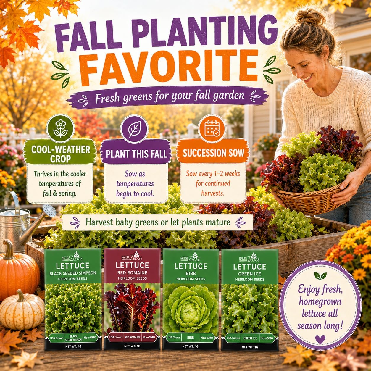 NatureZ Edge Lettuce Seeds for Planting, 4 Popular Varieties Non-GMO Heirloom Seeds, Red Romaine, Bibb Butter, Black Seeded Simpson, Green Ice Lettuce, Romaine, Salad Lettuce, Hydroponic Garden, USA