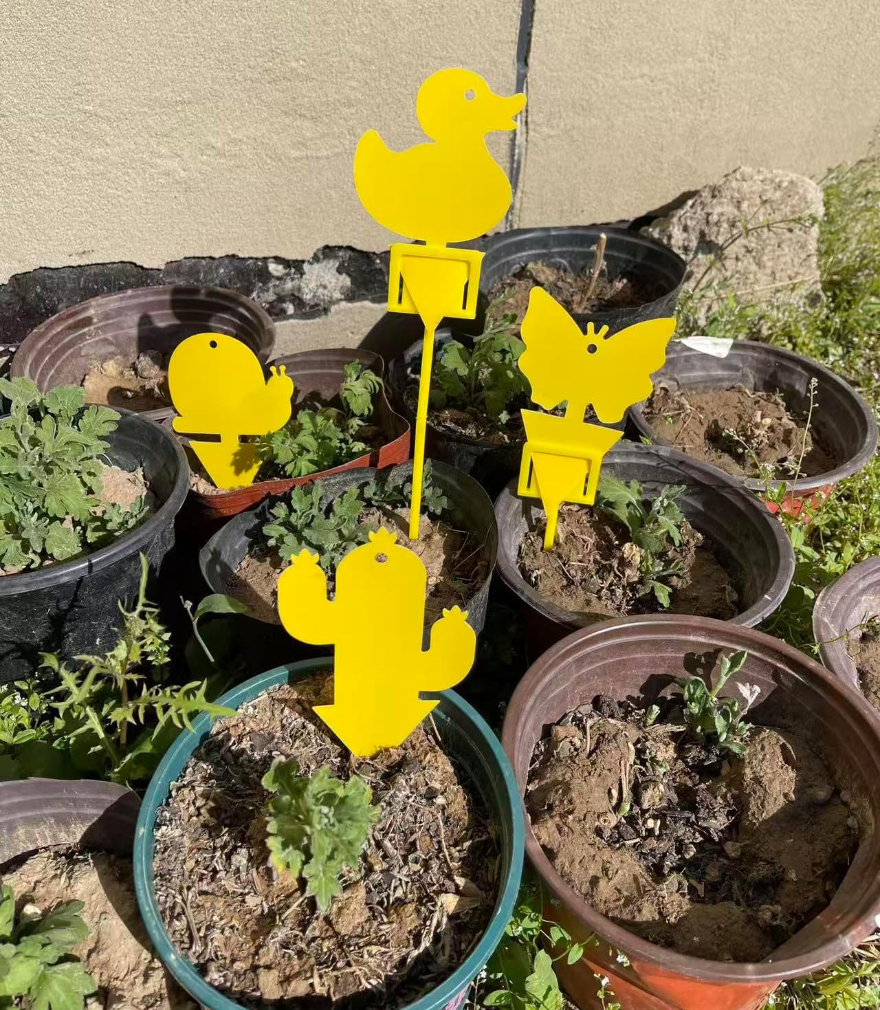 Gideal 24-Pack Dual-Sided Yellow Sticky Traps for Indoor/Outdoor Use, Gnat Trap for Flying Plant Insect Such as Fungus Gnats, Whiteflies, Aphids, Fruit Fly, Leafminers, etc - Cute Shapes