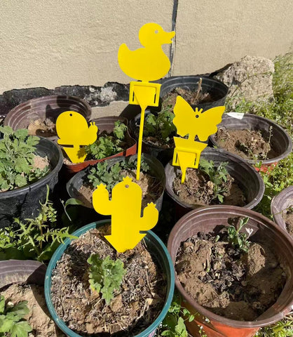 Gideal 24-Pack Dual-Sided Yellow Sticky Traps for Indoor/Outdoor Use, Gnat Trap for Flying Plant Insect Such as Fungus Gnats, Whiteflies, Aphids, Fruit Fly, Leafminers, etc - Cute Shapes