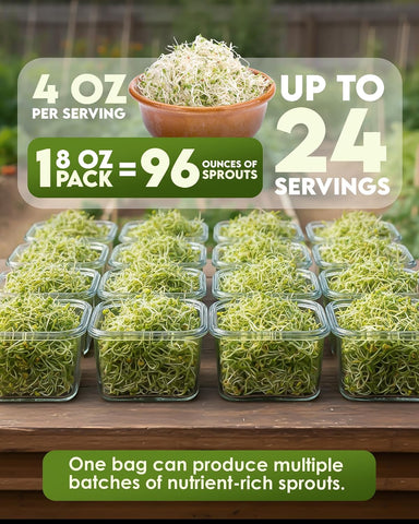 Nature Jim's Sprout Organic Broccoli Seeds – Non-GMO, Sprouting Seeds - 8oz