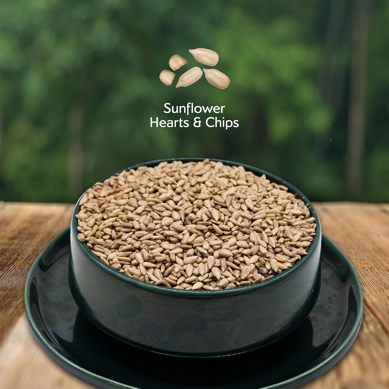Morning Song Sunflower Hearts & Chips Wild Bird Seed, 10 lb.