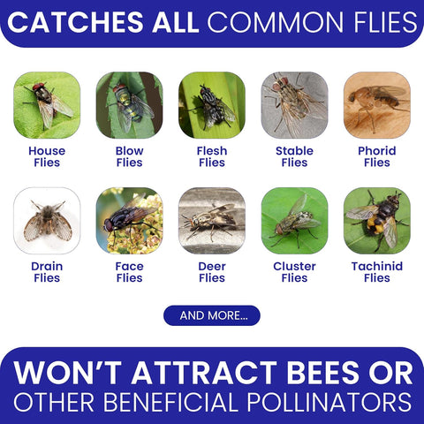 3 Fly Traps Outdoor Fly Trap for Patio with 6 Non-Toxic Dissolvable Bait Refills. Reusable Hanging Bug Catcher Killer for All Filth Flies for Outside Bug Control Yard Ranch. Hanging Chains Included.