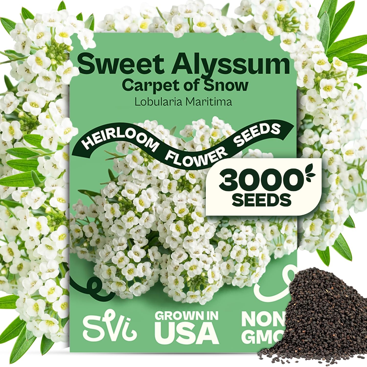 SVI 3000 Carpet of Snow Sweet Alyssum Seeds (Lobularia maritima) – White Sweet Alyssum Seed Packets Bulk – Ground Cover Seed Pack, Flower Seeds for Outside, Containers, Flower Beds