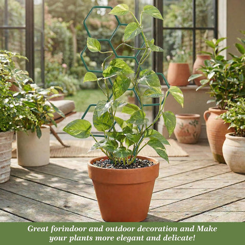 Small Trellis for Potted Plants, 14 Inch Indoor Trellis for Climbing Plants Honeycomb Shape Metal Plant Trellis for Pots Plant Climbing Support for Flower Hoya Pothos Houseplants(Green)