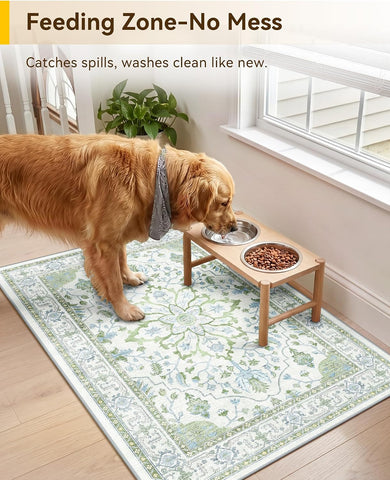RELEANY Washable Area Rug, Small 2'x3', Green/White/Blue