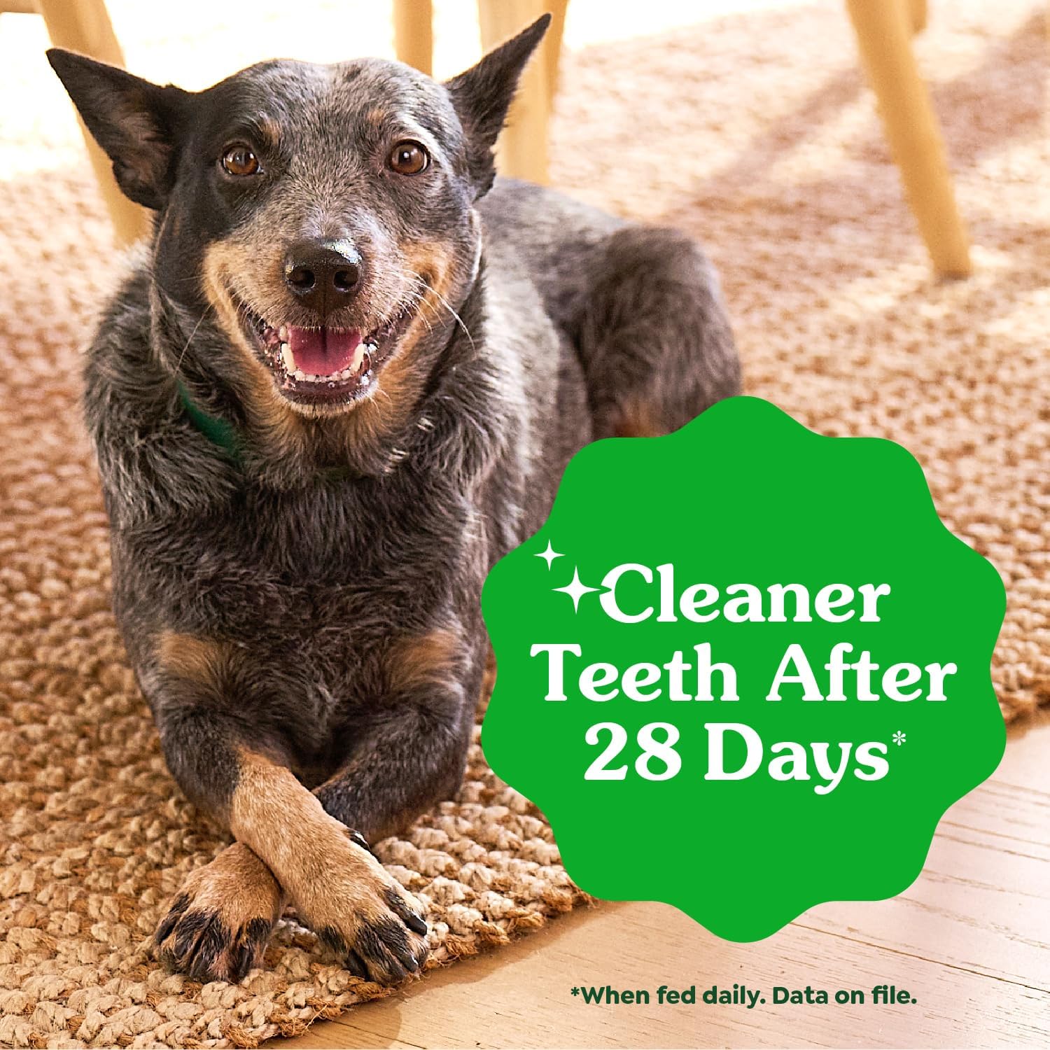 Greenies Petite Natural Dental Dog Treats, Original Flavor, 30 Count, 4pack