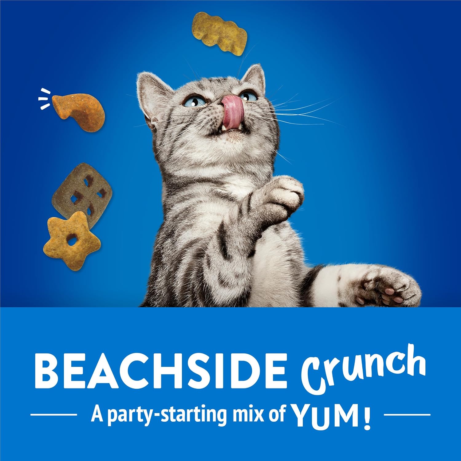 Friskies Purina Cat Treats, Party Mix Beachside Crunch - 30 oz. Pouch (Pack of 4)