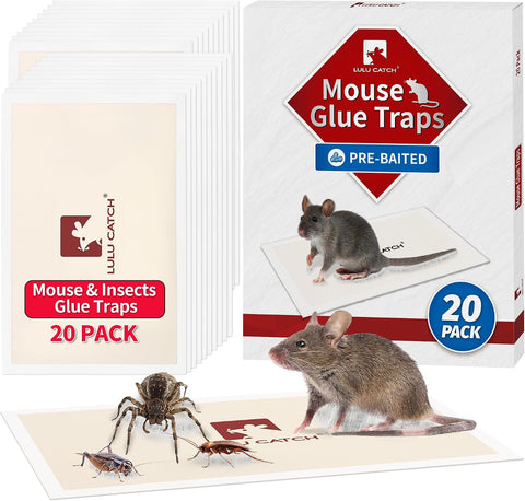 LULUCATCH Mouse Traps, 20 Pack Pre-Baited Sticky Mouse Traps Indoor for Home, Non-Toxic Bulk Sticky Pads, Glue Traps for Rats, Bugs, Spider, Mice, Cockroach, Pet Safe, Easy to Use