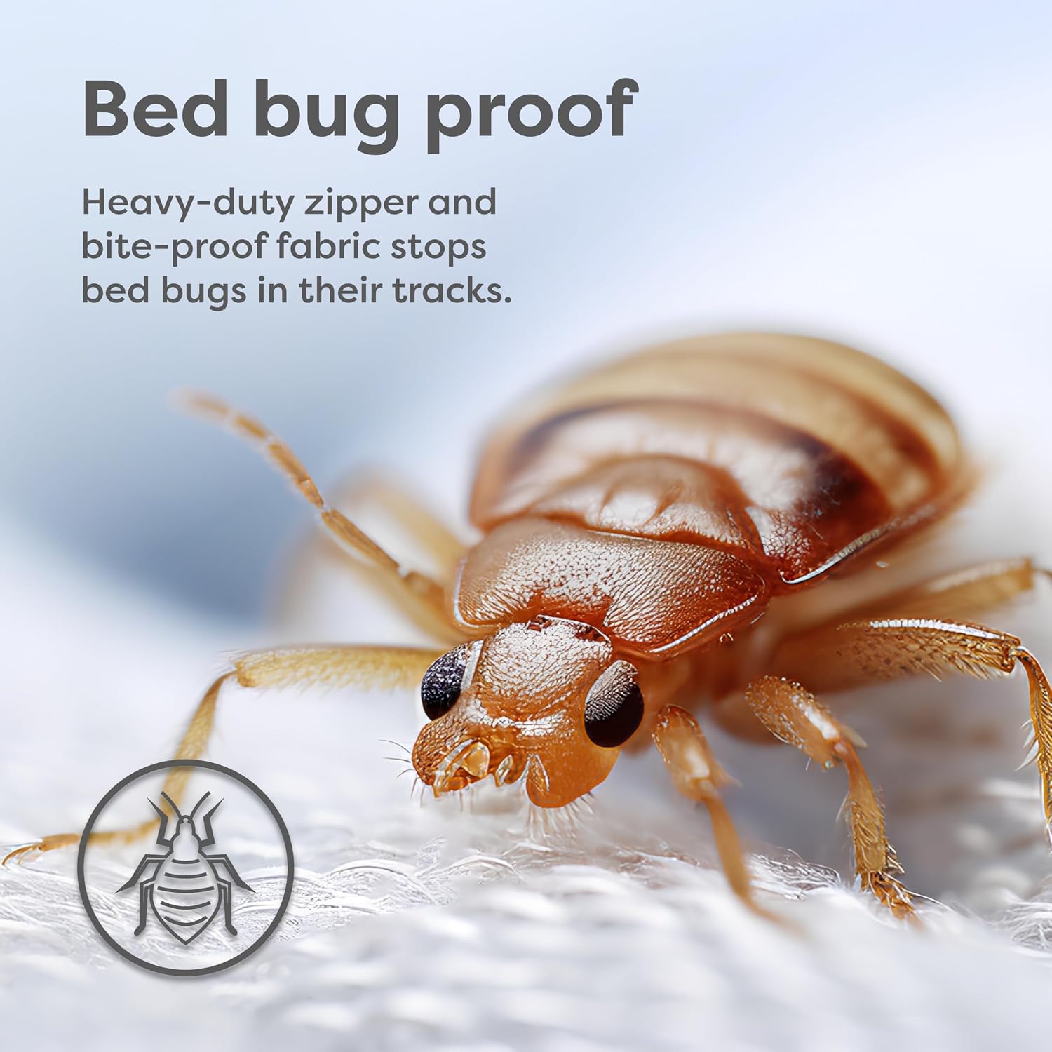 HOSPITOLOGY PRODUCTS Mattress Encasement - Zippered Bed Bug Dust Mite Proof Hypoallergenic - Sleep Defense System - King - Waterproof - Stretchable - Standard 12" Depth - 78" W x 80" L