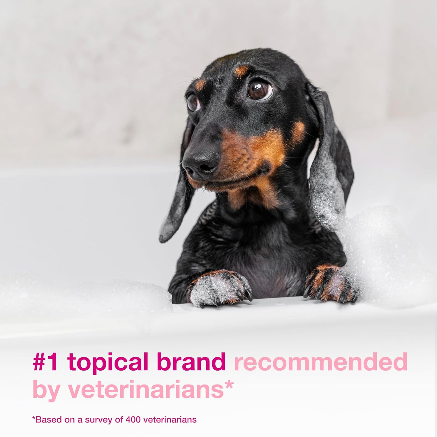 Douxo S3 Calm Dog Shampoo for Itchy Skin Relief, Dog Shampoo for Allergies and Itching, Soothes Itchy, Irritated or Allergic Skin For Dogs and Cats, 6.7 fl oz