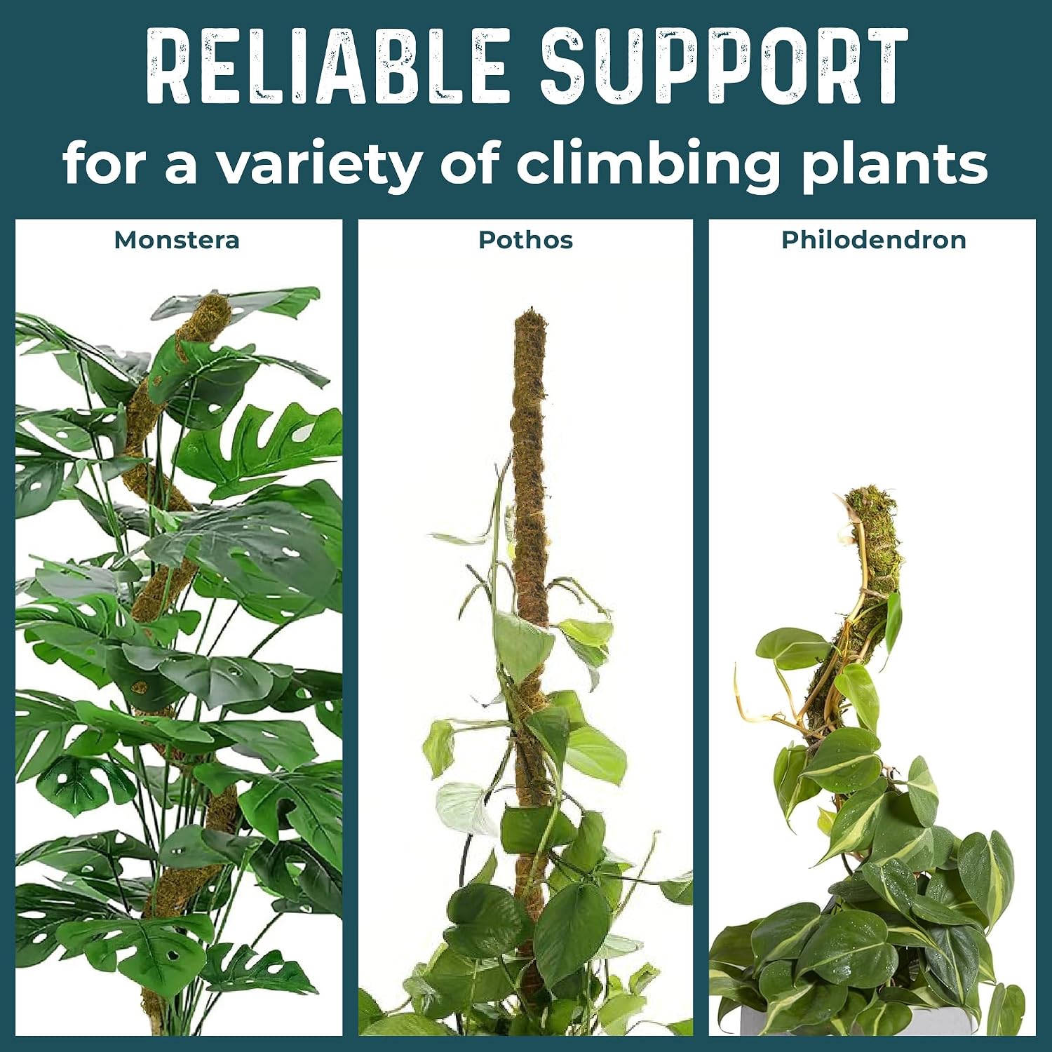 2pcs 42'' Real Forest Moss Pole Monstera Plant Support -Moisture Retaining
