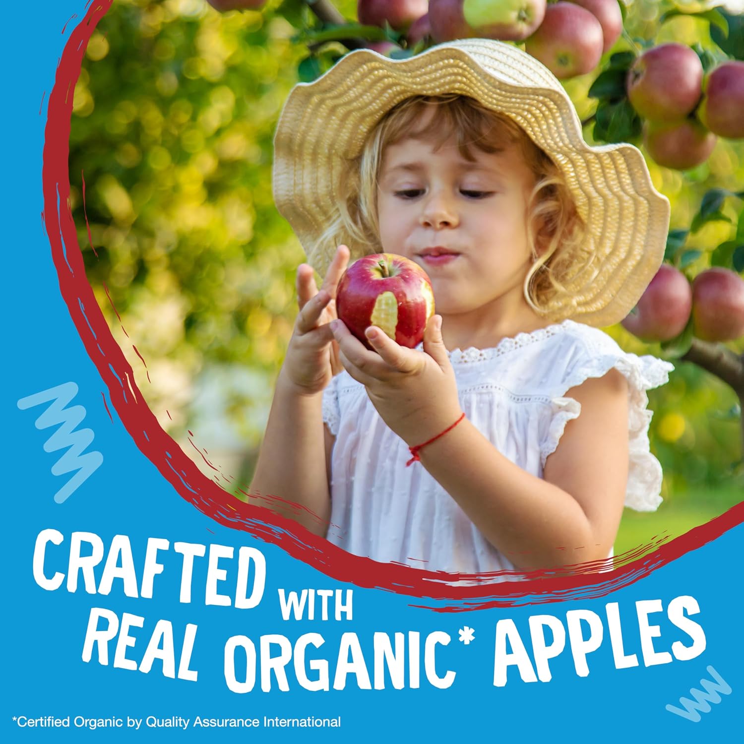 Earth's Best Sesame Street Organic Sunny Days Snack Bars, Apple, 16 Bars Per Box