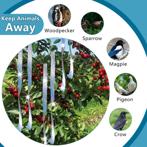 Bird Scare Tapes 500FT*2 Reflective Flash Tape for Birds, Bird Scare Device Double Side Ribbon Scare Birds Away for House, Garden, Yard, Orchard, Patio
