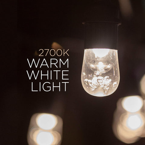 Enbrighten Classic Outdoor String Lights, 48ft, 24 Bulbs, White Light Only