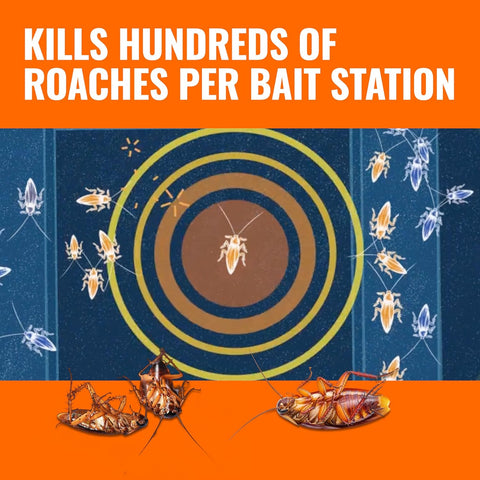 TERRO Roach Killer Gel Bait Stations, 12-Pack, Ready-to-Use Cockroach Bait