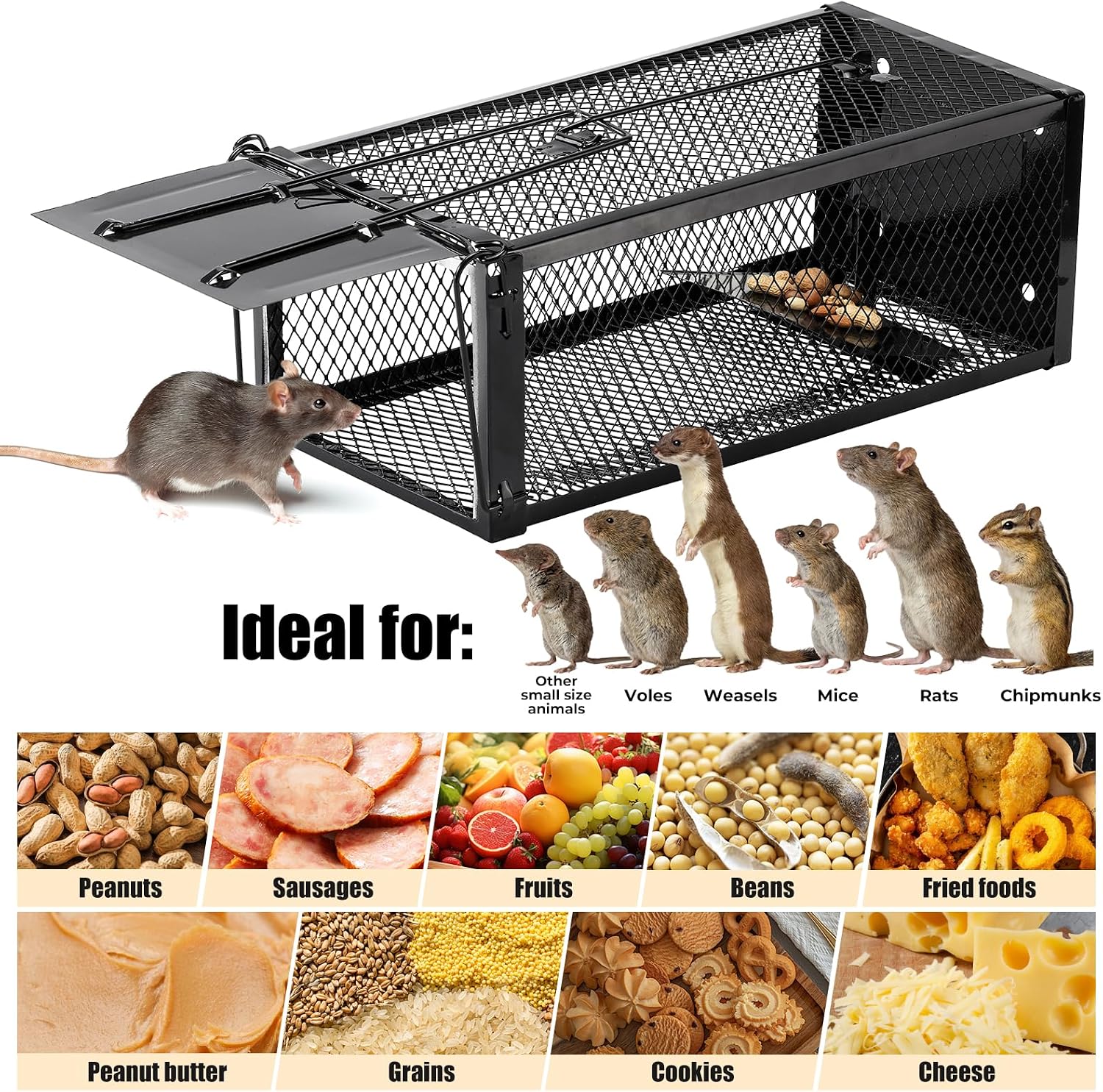 2 Pack Humane Rat Traps 12.5"x5.5"x4.5", Reusable Mouse Traps for Indoor/Outdoor Use, No-Kill Live Capture for Chipmunks, Rats, Mice