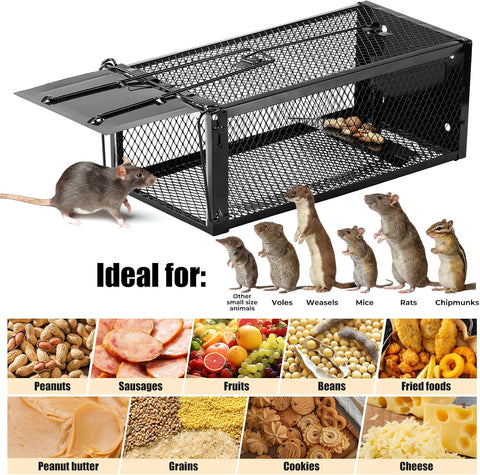 2 Pack Humane Rat Traps 12.5"x5.5"x4.5", Reusable Mouse Traps for Indoor/Outdoor Use, No-Kill Live Capture for Chipmunks, Rats, Mice