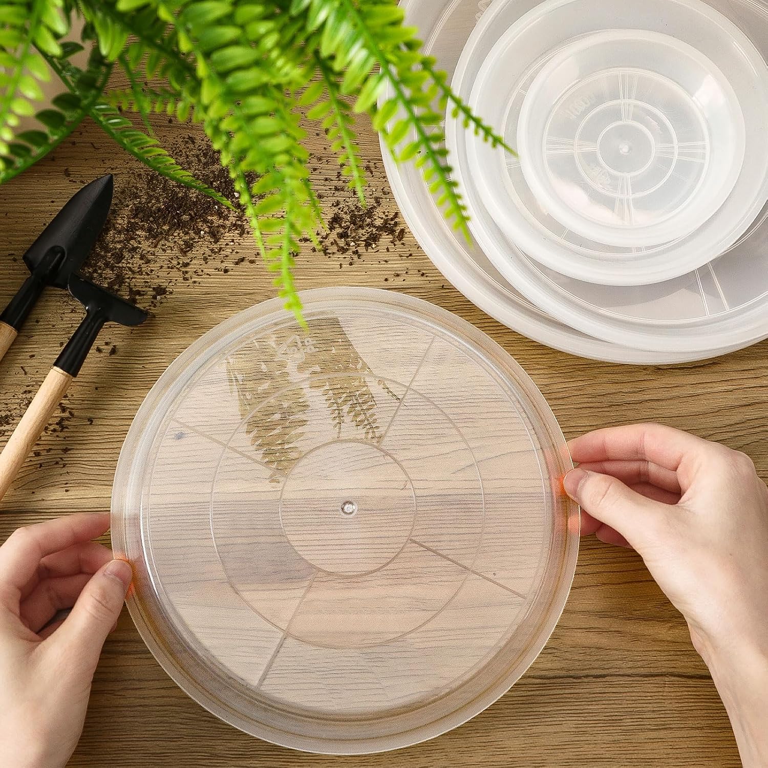 Augshy 18 Pack Plant Saucer, Clear Drip Trays for Potted Plants, 4 Sizes