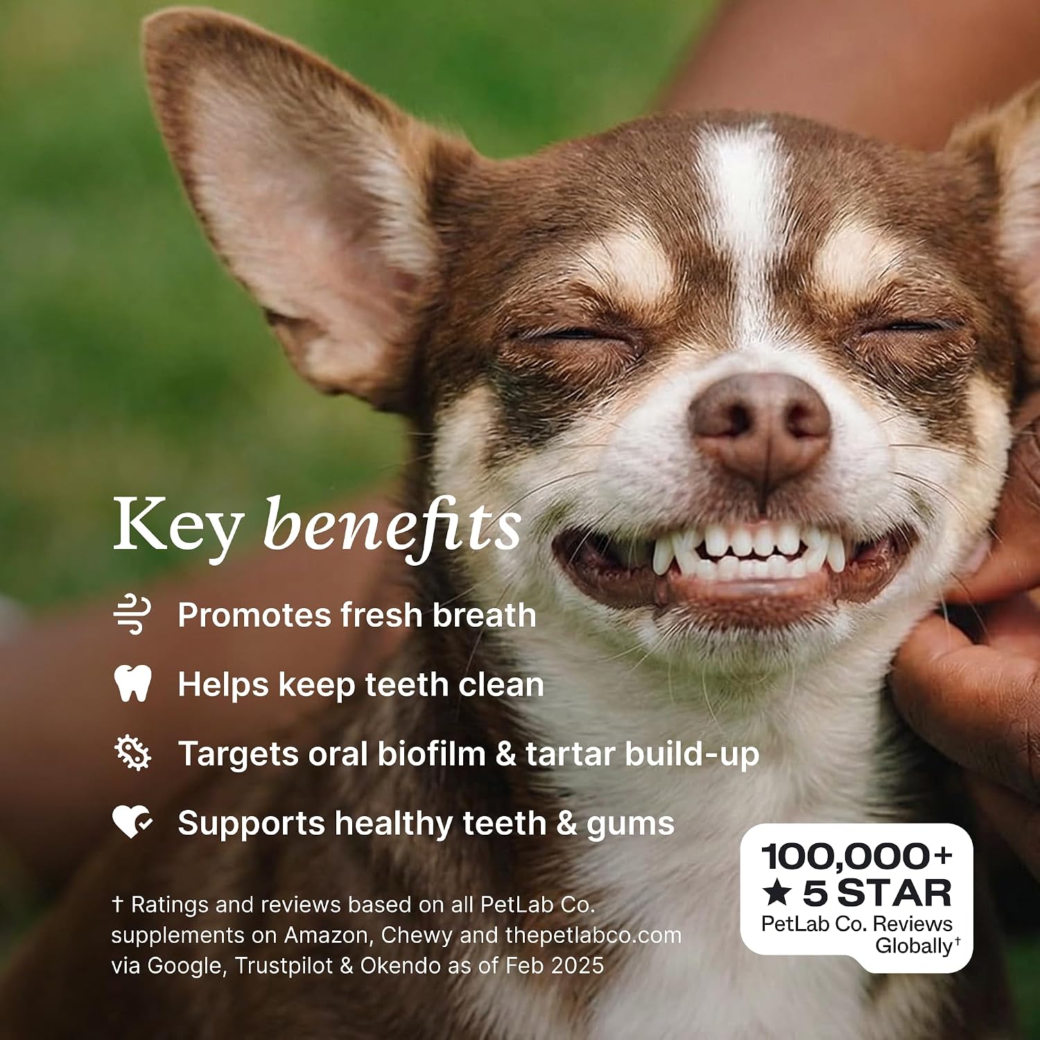 PetLab Co. ProBright Dental Powder for Small Dogs, 30 Scoops