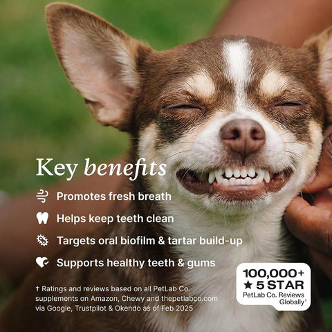 PetLab Co. ProBright Dental Powder for Small Dogs, 30 Scoops