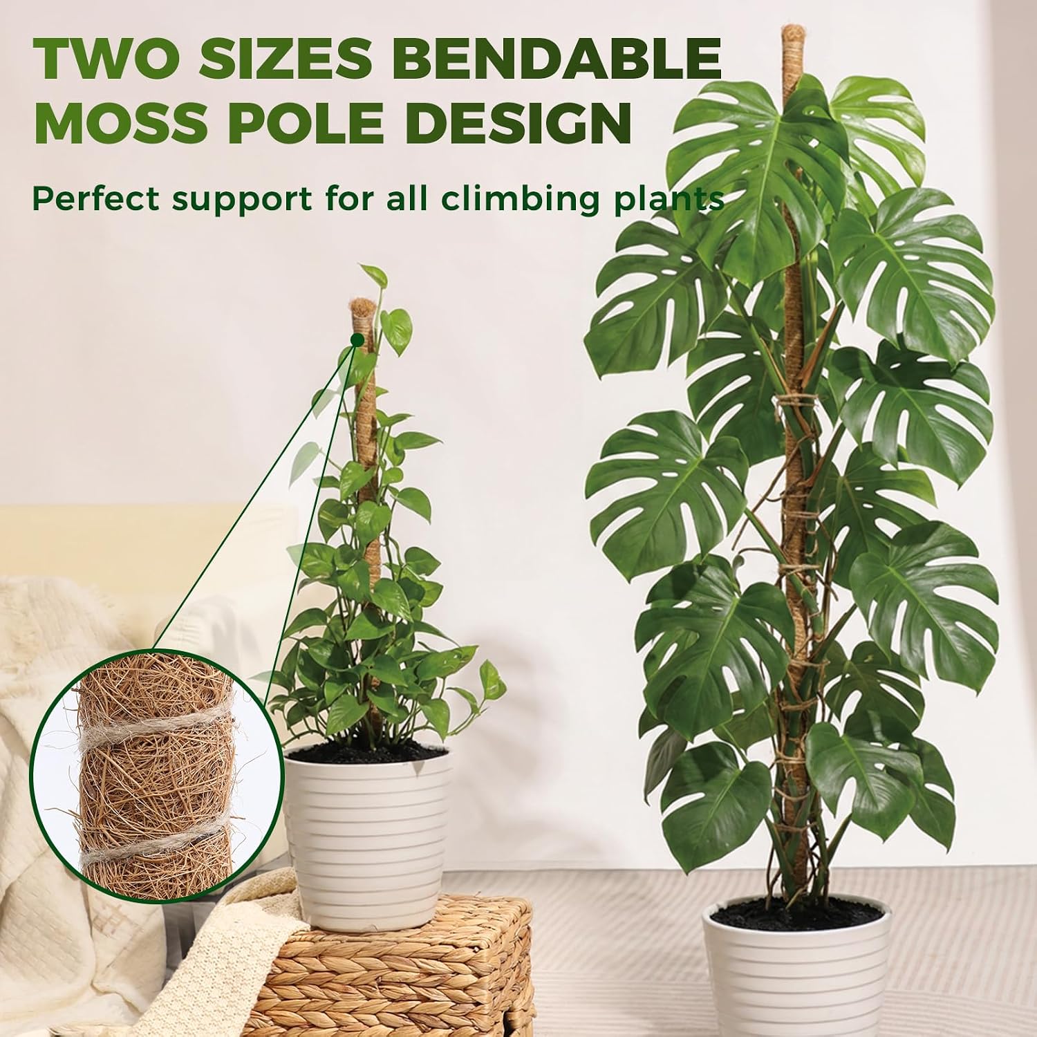 3 Pack Moss Pole Monstera Plant Support, 2 Pack 28" & 1 Pack 48" Bendable Plant Stakes Made of Real Coco Coir Support for Climbing Indoor Plants, Tall Moss Stick Trellis for Potted Climbers