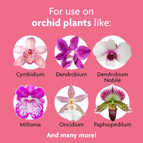 Miracle-Gro Orchid Plant Food Spikes - Indoor Plant Fertilizer Sticks for Potted Orchids, Feeds for up to 2 Months, 10 Spikes