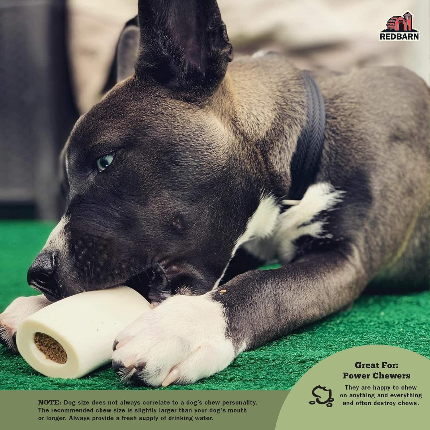 Redbarn Small Filled Bones Premium Dog Chew, Peanut Butter Flavor, 20 Count