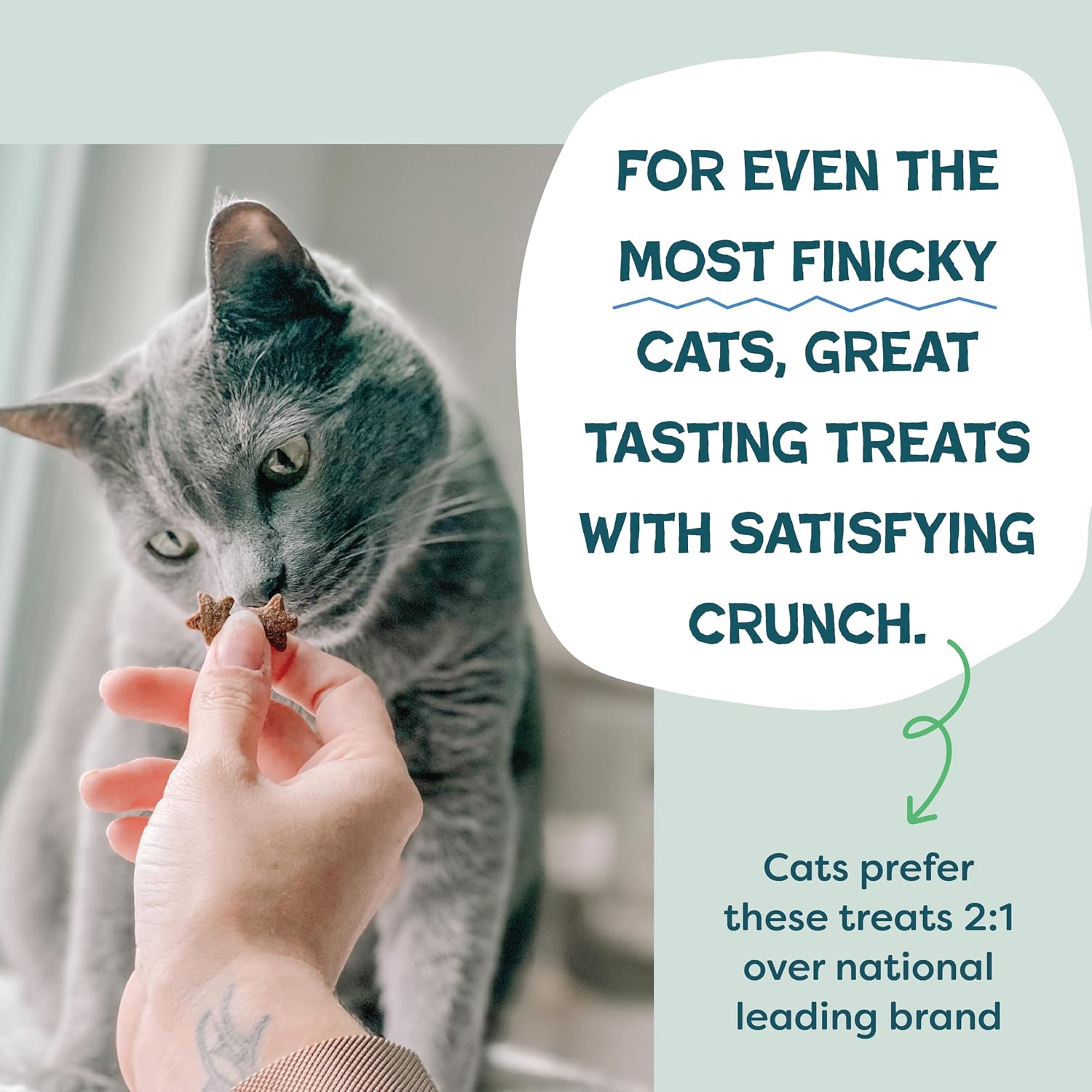 Shameless Pets Catnip N Chill Crunchy Cat Treats, 12 oz