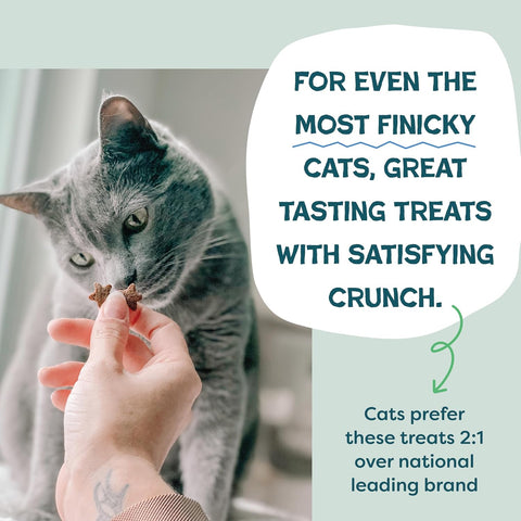 Shameless Pets Catnip N Chill Crunchy Cat Treats, 12 oz