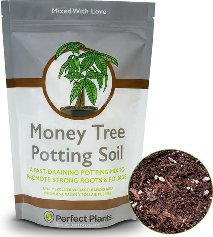 Perfect Plants Money Tree Potting Soil, 2 qt, Indoor Coco Coir Mix