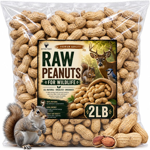 Office Roast Raw Peanuts in Shell 2 lb Bag – Unsalted, Natural & Healthy Snack – Plain Peanuts for Squirrels, Birds & Wildlife Feed