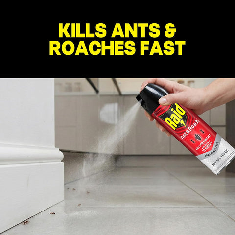 Raid Ant & Roach Killer Bug Spray, Fragrance Free, 17.5 oz, 2 Count