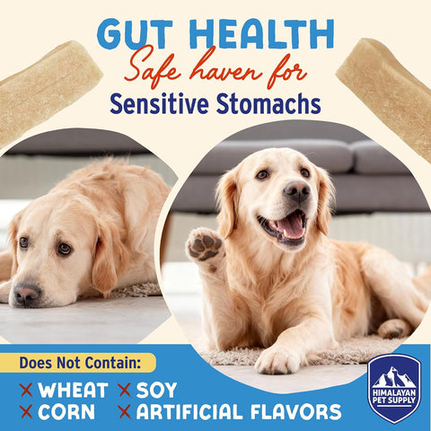 Himalayan Dog Chew Yogurt Sticks, Probiotic Dog Treats, Strawberry 5 Treats