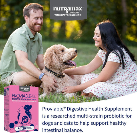 Nutramax Proviable Probiotics for Dogs & Cats, Sprinkle Capsules, 30ct